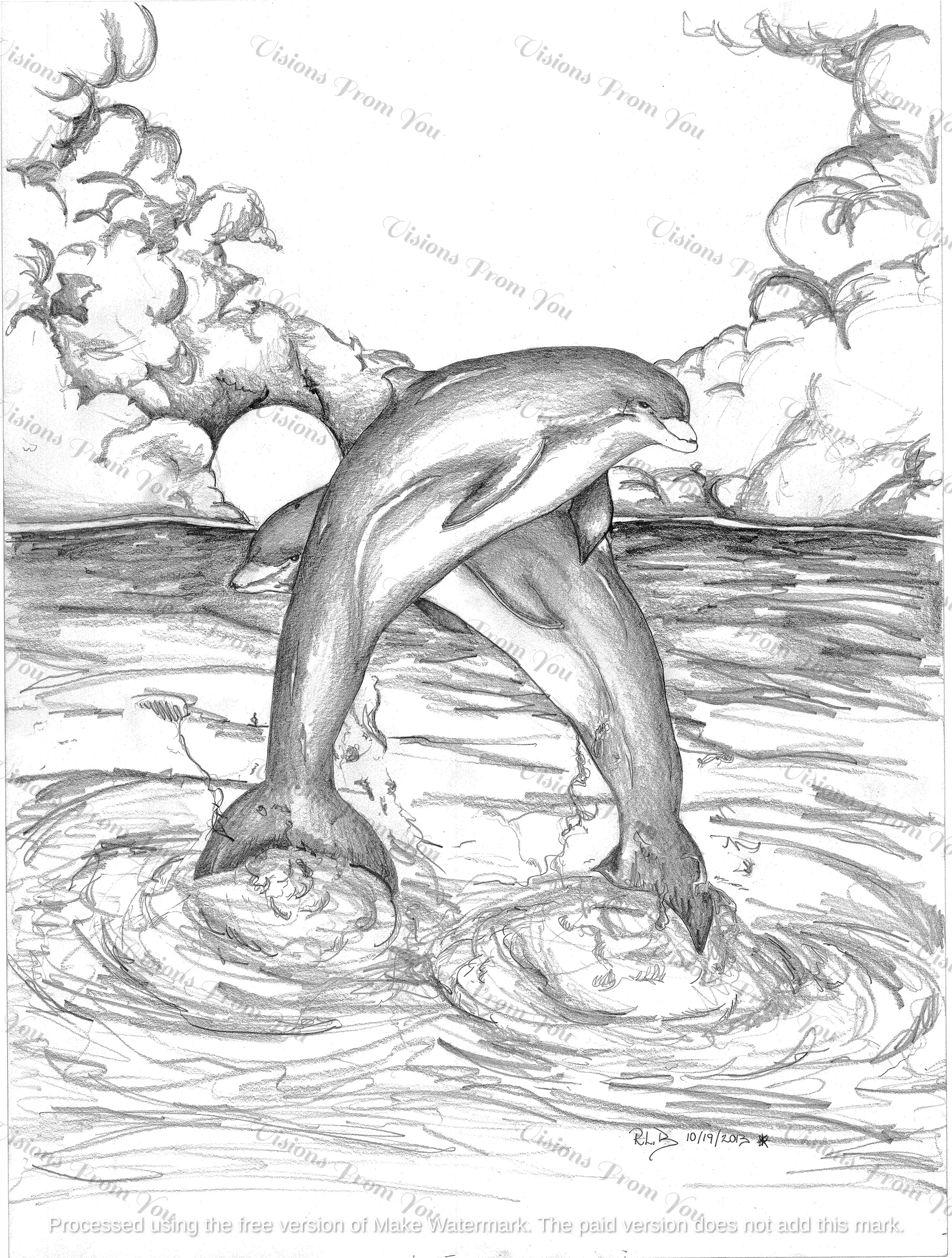 Dolphins